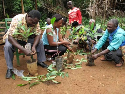 Environmental Conservation Project