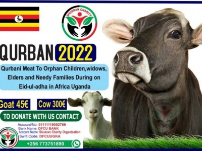 Qurban project 2022