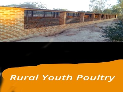 Disadvantaged Rural Youth Poultry