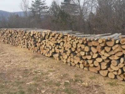 buy firewood(drva za ogrijev)