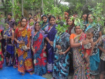 Support for Green Program in Bangladesh