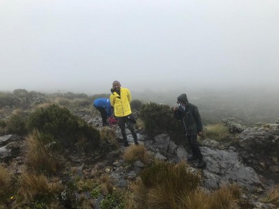 Climbing Mt. Kenya for a cause