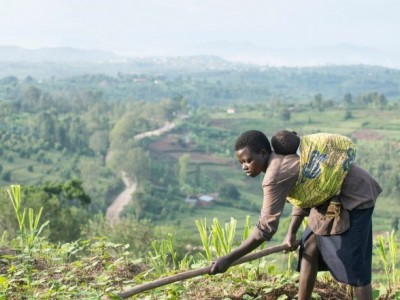 HELP PLANT A TREE FOR HEALTHY