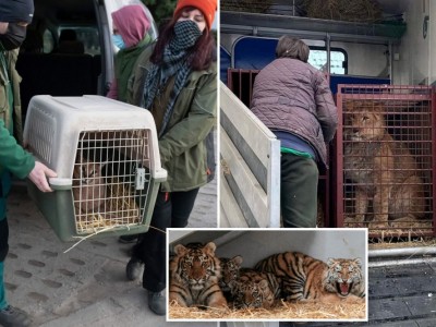 Zoo in Ukraine ??