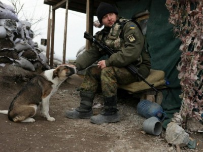 Save pets/ animals  (Ukraine)