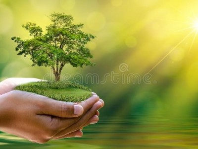 Save trees and save Earth