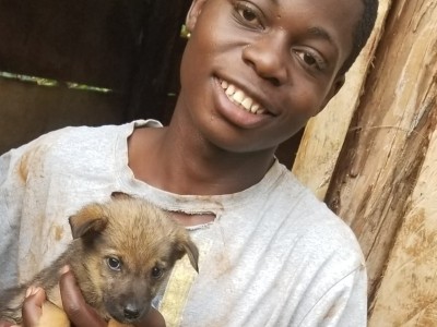 Supporting dogs and orphans