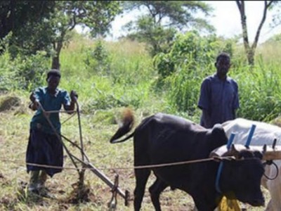 Seeds of sustainability.Empowering Green fields growers