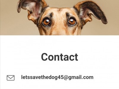 Let's help save dogs