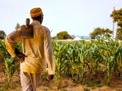 Farm to feed the needy