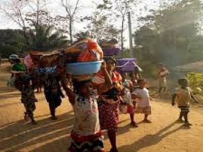 Survive Lives in Southern Cameroon's Crisis