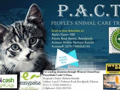 Donation for PACT - Shelter for Stray Animals