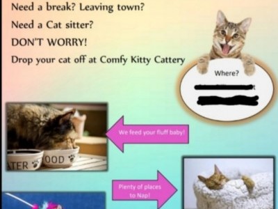 Save a life! Help build a cattery!