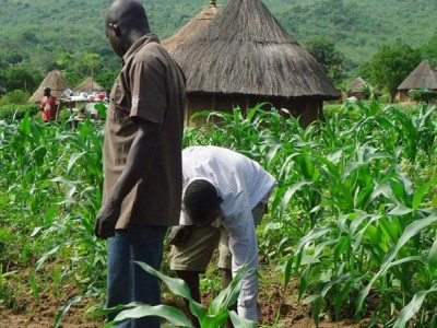 Planting for food amidst this pandemic.