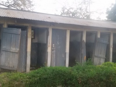 To Repair orphans Toilets