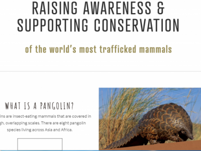 SUPPORT FOR PANGOLIN CONSERVATION IN AFRICA