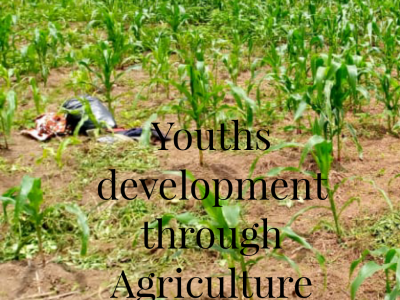 Promoting youths Agriculture